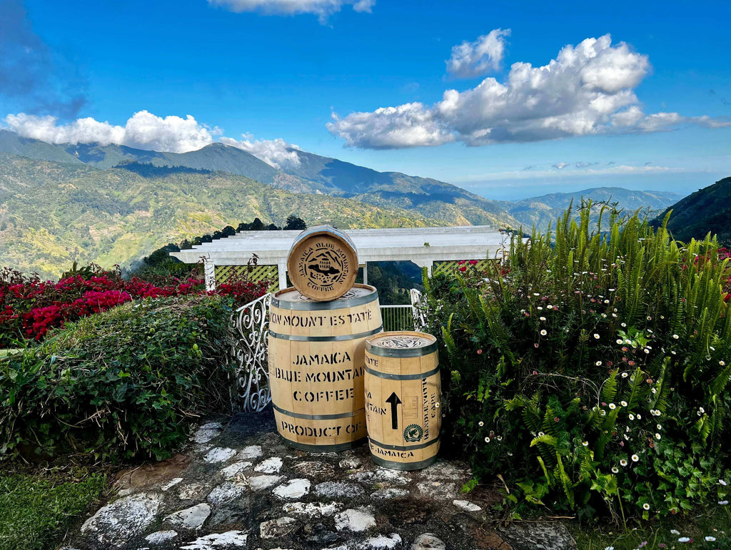 Jamaica Blue Mountain Coffee Barrels at the Jamaican Blue Mountains