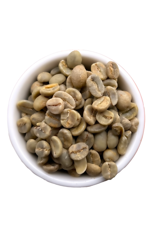 Café non torréfié en grains Jamaica Blue Mountain de Coffea diversa Penlyne, Bourbon Longberry - Détail